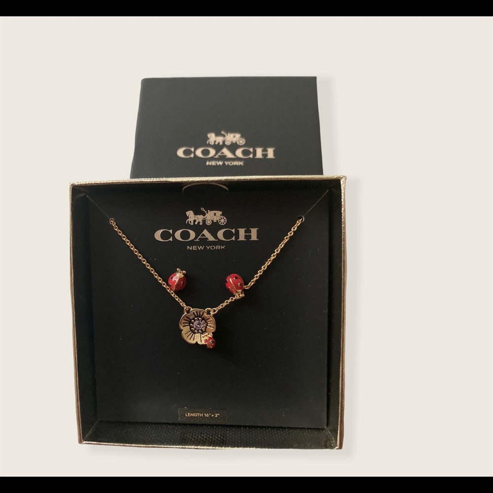 Ladybug gift set